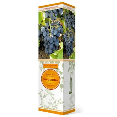 Виноград плодовый Кодрянка коробка h59 см