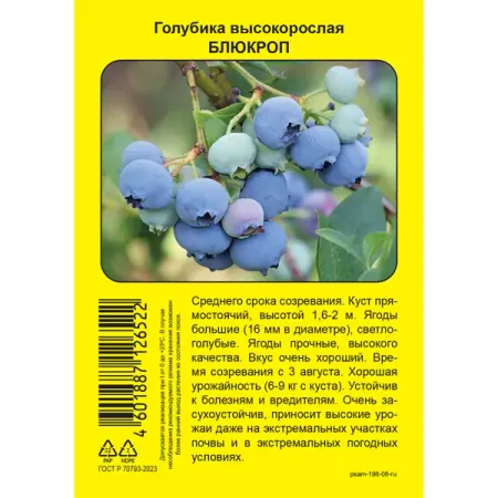 Голубика высокорослая Блюкроп пакет h39 см