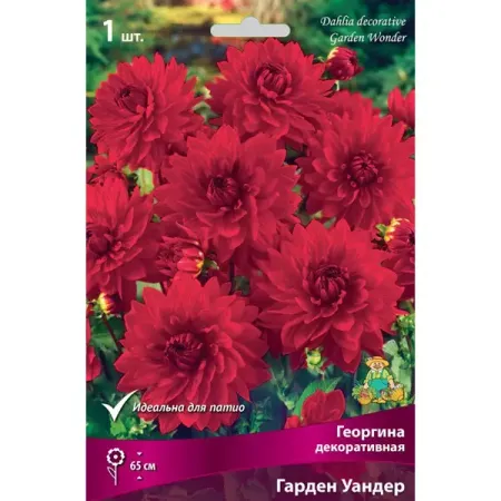 Георгина декоративная Гарден Уандер луковица I ная декоративная решетка для растений