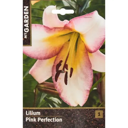 Лилия трубчатая Пинк Перфекшн ampmart gzc9 f a 55 алюминиевая трубчатая розетка 9 pin для ламп 12ax7 12au7 5670 ecc82 ecc83