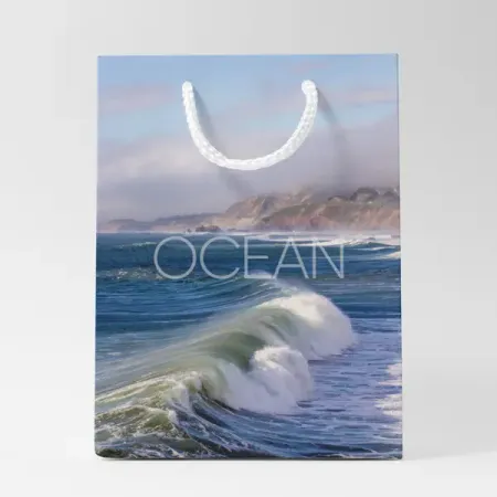 Пакет подарочный Симфония Ocean 30x21x14 см цвет разноцветный хорус пакет 1 гр