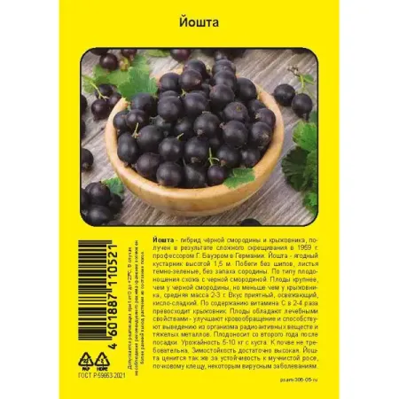 Йошта пакет h40 см