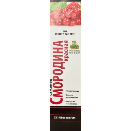 Смородина красная Йонкер Ван Тетс короб h35 см красная бархатная коробка для колец generic