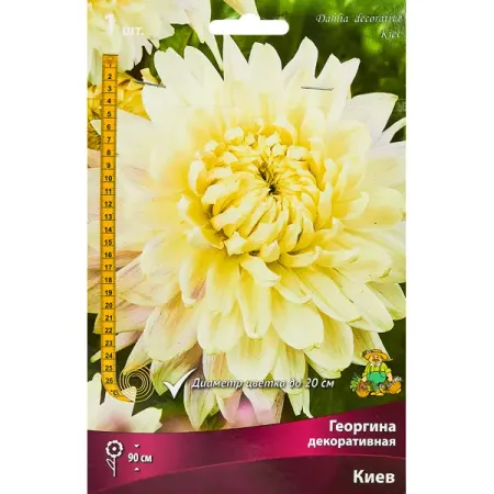 Георгина декоративная Киев 10 20 30 50 шт ная одноразовая посуда высокое качество вилка нож ложка день рождения семейные товары для сбора оптовая продажа