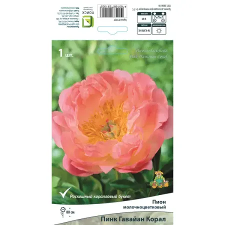 Пион молочноцветковый травянистый «Пинк Гавайан Корал» разбор 1-2
