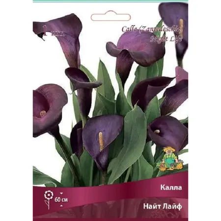 Калла Найт Лайф колдакт дэй найт   таблетки п о плен 30мг 500мг 10мг 2мг и 500мг 10мг 2мг 9шт