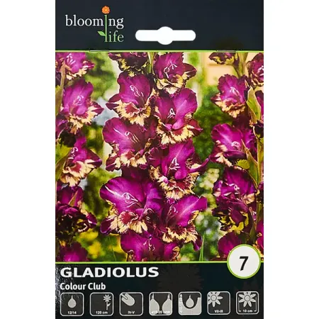 Гладиолус крупноцветковый Колор Клаб 100 мм 2 шт для range rover sport l320 discovery 3 4 отражатель заднего бампера светодиодный стоп сигнал задний дымчатый красный линза без колор