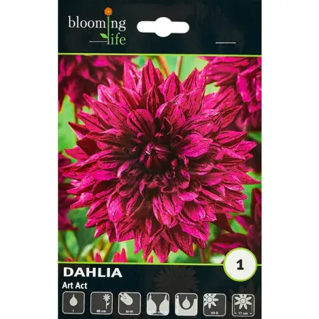 Георгина декоративная Арт Акт 100 мм 10 20 30 50 шт ная одноразовая посуда высокое качество вилка нож ложка день рождения семейные товары для сбора оптовая продажа