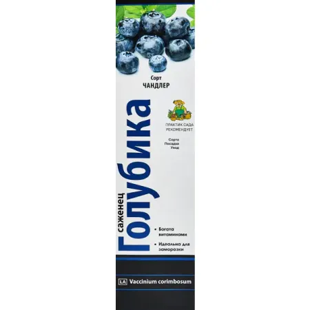 Голубика высокорослая Чандлер короб h35 см