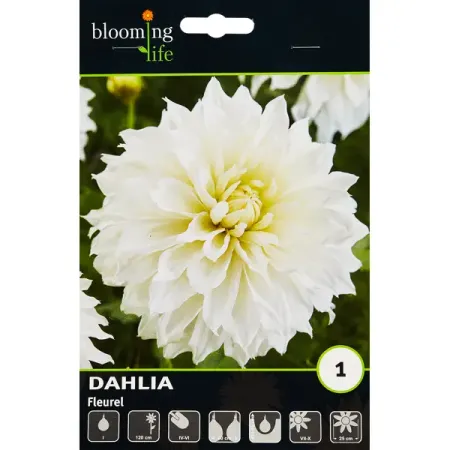 Георгина декоративная Флюрел 100 мм 10 20 30 50 шт ная одноразовая посуда высокое качество вилка нож ложка день рождения семейные товары для сбора оптовая продажа