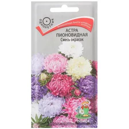 Астра пионовидная смесь окрасок