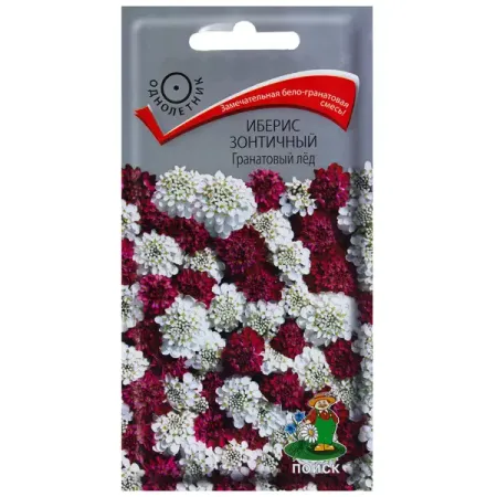 Иберис зонтичный «Гранатовый лед» сок ашан красная птица гранатовый востановленный прямого отжима 310 мл