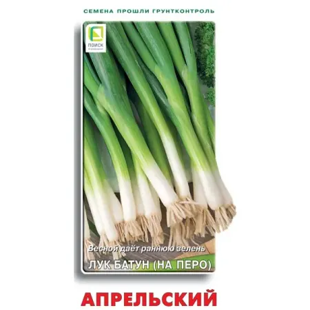 Семена пряных трав Поиск лук батун Апрельский семена лук батун апрельский 50 шт