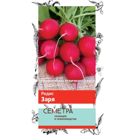 Семена овощей Поиск редис Заря