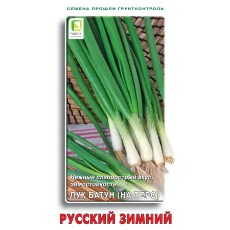 Семена овощей Поиск лук батун Русский зимний семена лук батун апрельский 50 шт