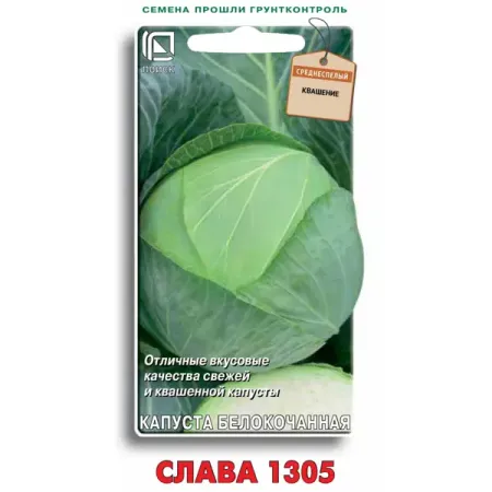 Семена овощей Поиск капуста белокочанная Слава 1305 искусственные утренняя слава и эвкалипт 75 см