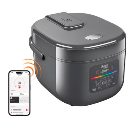 Мультиварка REDMOND MC100S, серый