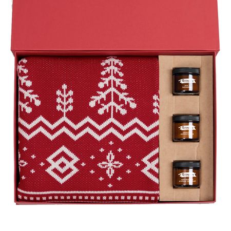 Набор плед и свечи рождественские фотообои с изображением деда мороза пингвина