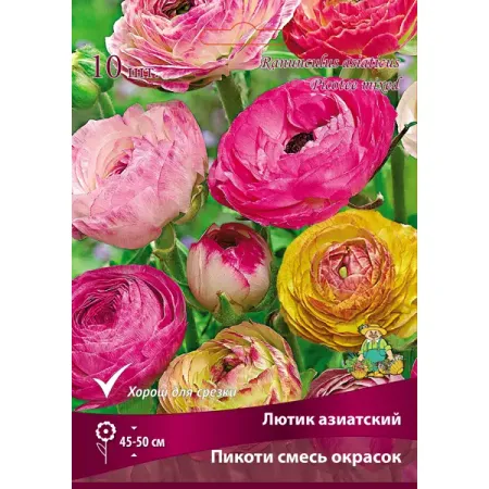 Лютик азиатский Пикоти микс 7/8, 10 шт.