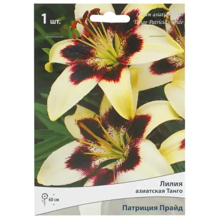 Лилия азиатская Танго «Патриция Прайд» лилии азиатские блэк аут луковицы 14 16 1 шт