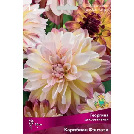 Георгина декоративная Карибиан Фэнтази луковица I greathope washi tape декоративная лента с ами и листьями 10 м