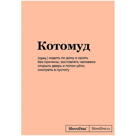 Блокнот ЭКСМО Блокнот SlovoDna. Котомуд (формат А5, 128 стр., С НОВЫМ КОНТЕНТОМ) 16+ блокнот sharkbang a7