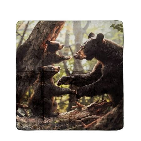 Плед ARYA HOME COLLECTION Плед с принтом 150X200 Bear Family микрофибра губки для посуды bear family