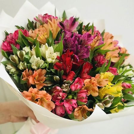 Букет живых цветов ТВОИ ЦВЕТЫ Букет «Радужная Альстромерия» радужная лягушка наклейка на стену