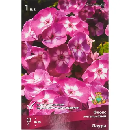 Флокс метельчатый Лаура 1 шт. розовые красные фольгированные шары 0 9 disney