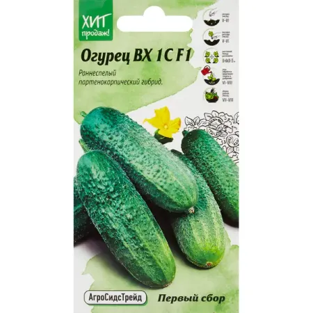Семена овощей Агросидстрейд огурец Первый сбор грудной сбор n2 2 г 20 шт