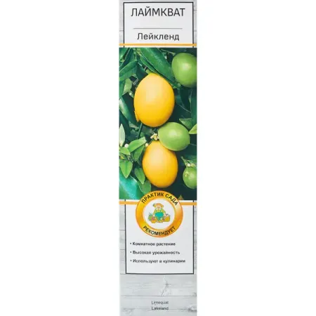 Цитрус Лаймкват Лейкленд h40 см шейкер для коктейлей cocktailgeek 500 мл