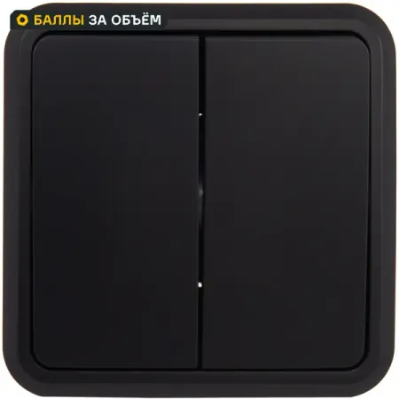 Выключатель накладной First 2 клавиши цвет черный выключатель накладной tdm electric дача 2 клавиши сосна
