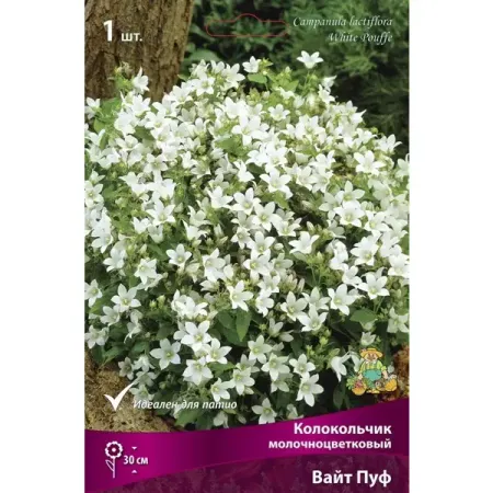 Колокольчик молочноцветковый Вайт Пуф латунный буддийский колокольчик ваджра