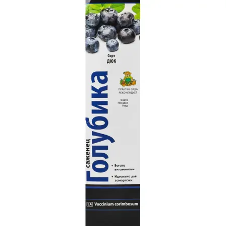 Голубика высокорослая Дюк короб h35 см