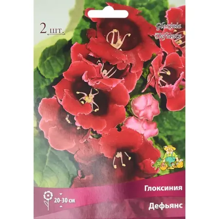 Глоксиния Дефьянс, 2 шт