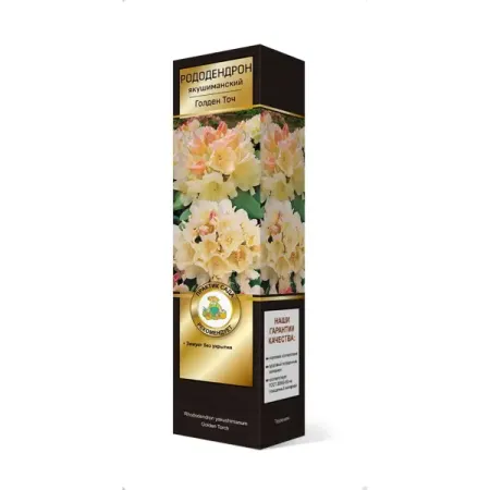 Рододендрон якушиманский Голден точ h37 см копия серебряной монеты дании 1 крона 1618 года