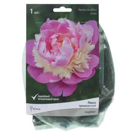 Пион травянистый «Сорбет» мыло десятое королевство рукодельное с картинкой розовый пион