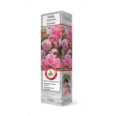 Роза плетистая Жасмина h37 см