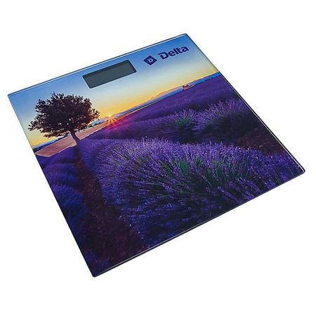 Напольные весы DELTA Весы напольные электронные D-9302 