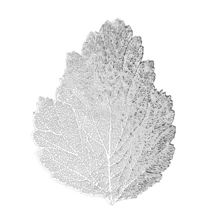 Плейсмат Le Lien, серебро