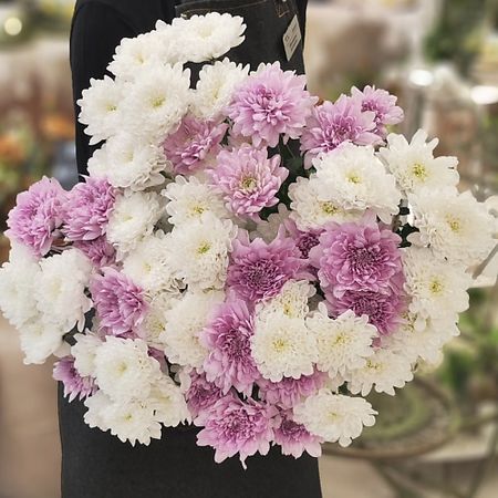 Букет живых цветов ЦВЕТЫ ДЛЯ ВАС Букет из 15 кустовых хризантем белых и розовых