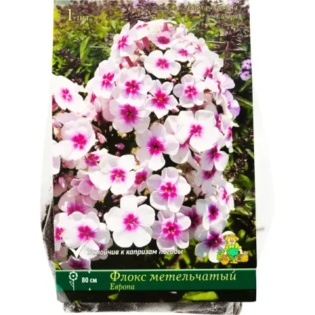 Флокс метельчатый «Европа», 1 шт. 3d магниты для холодильника европа