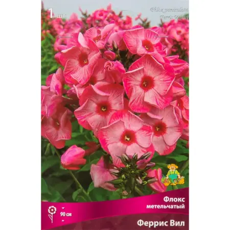 Флокс метельчатый Феррис вил луковица I искусственные ы bonsai розовые зеленые красные белые фиолетовые