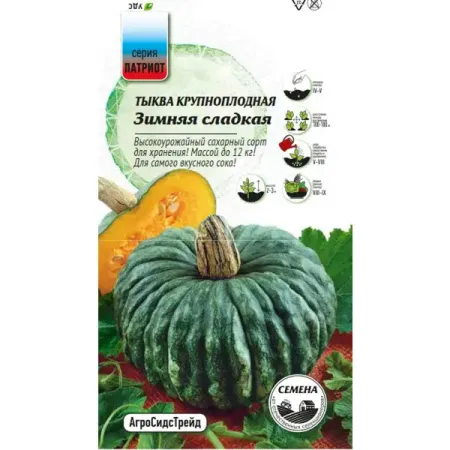 Семена овощей Агросидстрейд Патриот тыква сладкая Зимняя 5 шт. водка зимняя деревенька россия 1 л