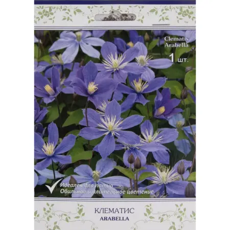 Клематис ботанический Арабелла в капере
