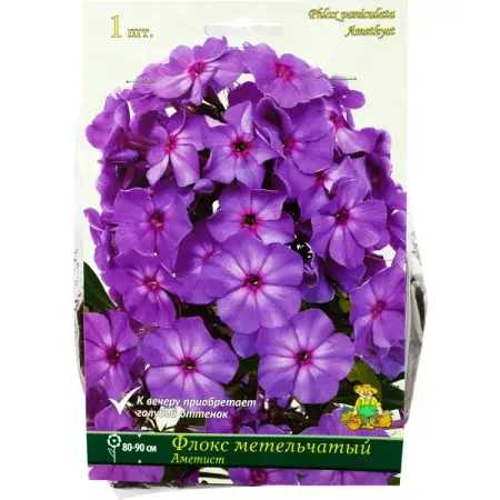 Флокс метельчатый «Аметист», 1 шт. кристалл аметист runyangshi