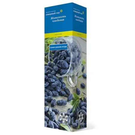 Жимолость съедобная Нимфа коробка h39 см