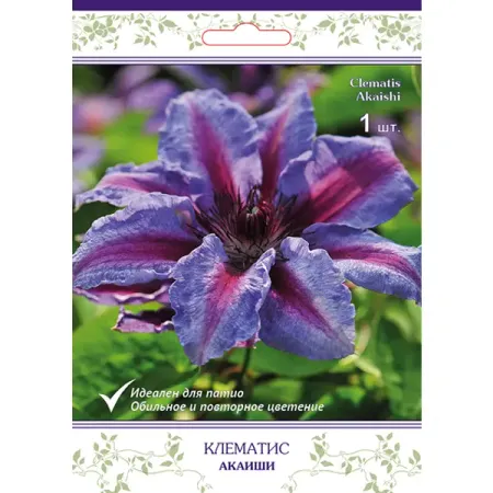 Клематис крупноцветковый Акаиши h15 см мини украшения для метлы moonbiffy красные соломенные 3 6 10 шт