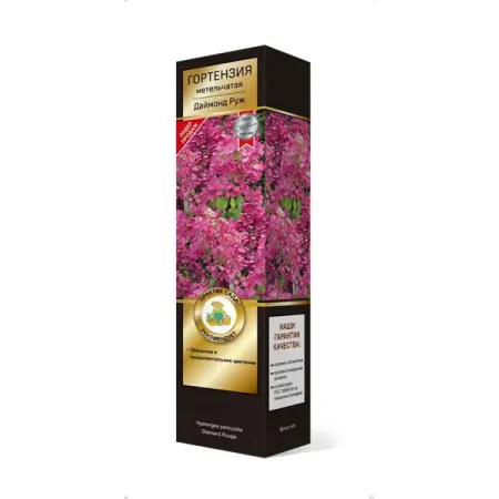Гортензия метельчатая Даймонд руж h37 см гортензия метельчатая жемчужина фестиваля ø17 h20 см