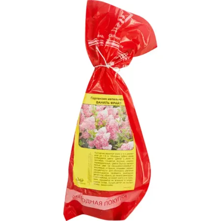 Гортензия метельчатая Ваниль Фрайз ø5 h35 см 10 шт кремово розовые сердцевидные фольгированные шары 18 дюймов